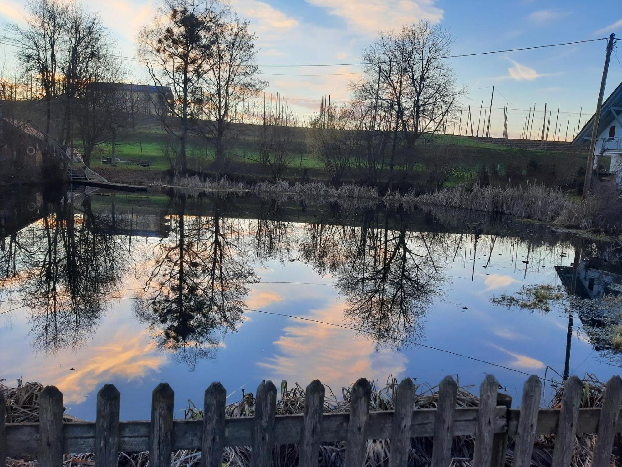 Am Dorfweiher Тетнанг Экстерьер фото